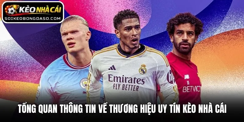 Kèo Nhà Cái Beringola ⭐️ Soi Kèo Bóng Đá, Tỷ Lệ Nhà Cái Mới Nhất T10/2026 7 Tổng quan thông tin về thương hiệu uy tín Kèo nhà cái